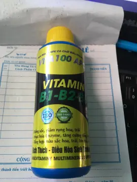 Số viên vitamin B6 trong mỗi lọ là bao nhiêu?
