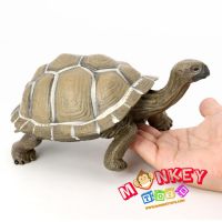 Monkey Toys - โมเดลสัตว์ Galapagos เต่า บก เขียว ขนาด 21.00 CM (จากหาดใหญ่)