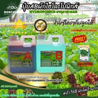 ปุ๋ย AB ไฮโดรโนิกส์ ใหม่ !!! HYDROPONIC-โตเร็ว ขนาด 1 ลิตร 2แกลลอน A+B ส่งฟรี