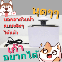 น้ำพุของเจ้านาย Fountain for Pets ใช้แทน ชามน้ำแมว ชามน้ำหมา กระบอกน้ำสัตว์เลี้ยง ขวดน้ำหมาพกพา น้ำพุแมว น้ำพุหมา มี ใส้กรองน้ำ กรองน้ำสำหรับสัตว์เลี้ยง ถังน้ำ แคมปิ้ง น้ำพุสัตว์เลี้ยง