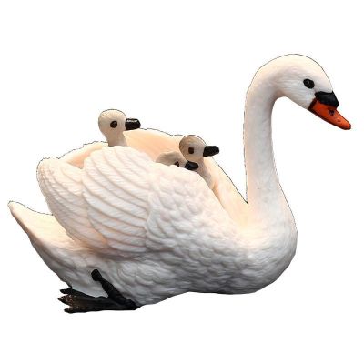 Solid simulation animal model swan swan birds birds birds toys gift set furnishing articles