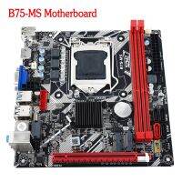 มาเธอร์บอร์ด B75-MS 24ขาความจุสูงสุด16GB LGA 1155 USB3.0 SATA 3.0รองรับ2สล็อตหน่วยความจำกับกราฟิกแบบรวม16x PCIe