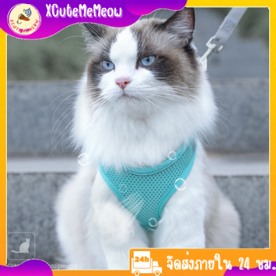 🌻XCuteMeMeow🌻สายจูงแมว สายจูงน้องหมา เชือกจูงแมว สายจูงสัตว์เลี้ยง สายจูงราคาถูก สายจูงสายรัดอกหมาแมว สินค้าพร้อมจัดส่งในไทย🚚