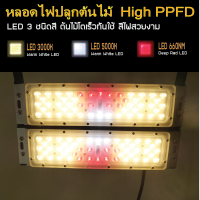 โคมไฟปลูกต้นไม้ GOD-100W LED Grow Light AC 220V ไฟปลูกต้นไม้ ต้นไม้โตเร็วทันใช้ ไฟปลูกพืช ไฟไม้ใบ ไฟปลูกมอนเตอร่า ไฟสีเหลืองทอง 3250K มี LED 660nm