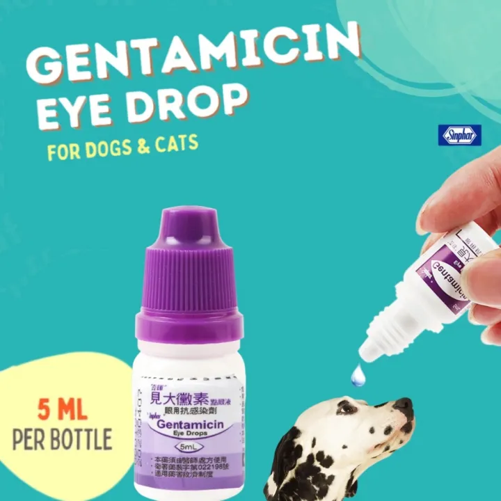 SINPHAR Gentamicin Eye Drops for Pets 5ml Lazada PH