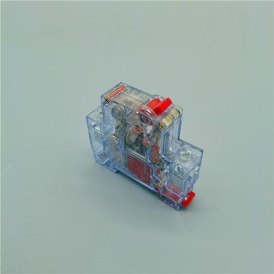 【LZ】 AC220V-400V DZ47-63 1p 6A 10A 16A 20A 25A 32A 40A 50A 63A Mini Circuit Breaker Cutout Miniature Transparent Household Air Switch