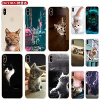 ✆﹊✤ Soft Case For iPhone 13 12 11 Pro X XS Max XR 6 7 8 G Plus SE 2020 Mini Cover cute funny Cat