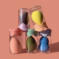 Wet and Dry Egg Sponge with Straight Storage Box, Breathable Anti-mold Dust-free Makeup Sponge Organizer