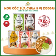 Ngũ Cốc Granola Mix Sữa Chua Sấy Khô Siêu Ngon Befresco 300G