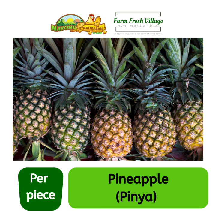 FARM FRESH VILLAGE Pineapple Medium per piece Lazada PH