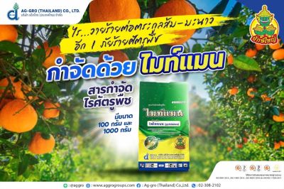 ไพริดาเบน ไมท์แมน 100 กรัม สารกำจัดศัตรูพืช ไรแดง ไรขาว By T &amp; T Chemical