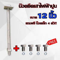 น๊อตยึดเสาไฟฟ้าปูน 12 นิ้ว + เเถม ฟรี น็อตเล็ก 4 ตัว