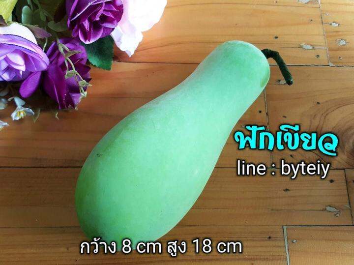 ชุดส่งตัวเข้าหอไม่มีไม้เท้า-ชุดa