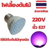 ( Pro+++ ) คุ้มค่า ไฟเลี้ยงต้นไม้ ไฟปลูกต้นไม้ led led grow ไฟปลูกพืชในร่ม หลอดไฟเลี้ยงต้นไม้ ราคาดี หลอด ไฟ หลอดไฟตกแต่ง หลอดไฟบ้าน หลอดไฟพลังแดด