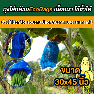 ถุงห่อกล้วยน้ำว้า ถุงห่อกล้วยหอม eco bags ขนาด 30x45 นิ้ว ผลกล้วยสวยไม่มีรอยช้ำ รอยแมลงเจาะ มีรูระบายอากาศ หนา ใช้ซ้ำได้หลายรอบ พร้อมส่ง