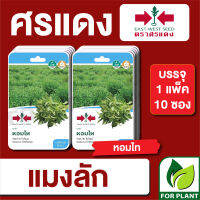 ผักซองศรแดงแมงลัก หอมไทย F1 บรรจุแพ็คล่ะ 10 ซอง ราคา 230 บาท