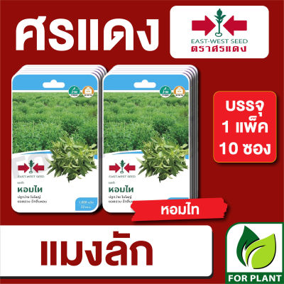 ผักซองศรแดงแมงลัก หอมไทย F1 บรรจุแพ็คล่ะ 10 ซอง ราคา 225บาท