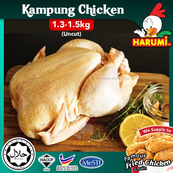 HARUMi Fresh Pack Kampung Chicken (1.3 - 1.5 Kg) Fresh Ayam Segar Beku ...