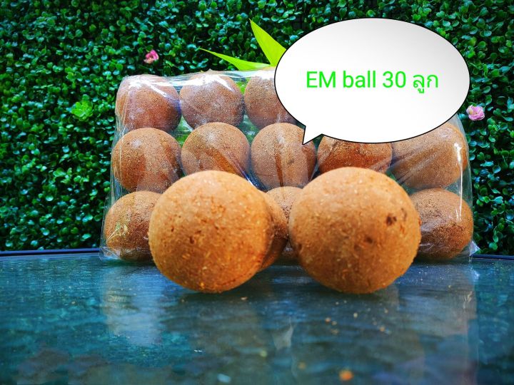 em-ball-อีเอ็มบอล-บำบัดน้ำเสีย-จำนวน-30-ลูก