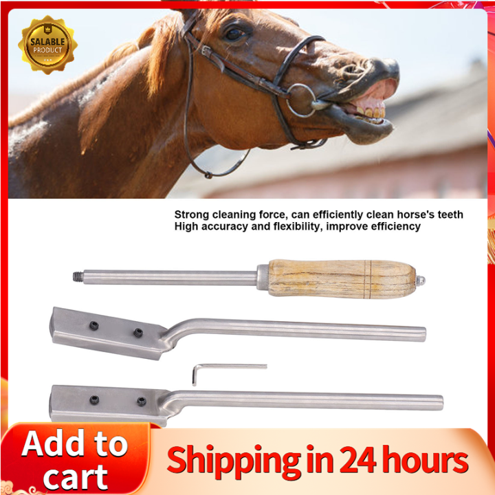 Equine Dental Kit, Strong Cleaning Power Fine Polishing Horse Dental