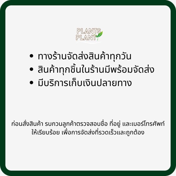 อิมมูนพลัส-500ml-วัคซีนพืช-ป้องกันและรักษาโรคพืช-แบคทีเรีย-เชื้อรา-ไวรัส-สร้างภูมิต้านทานโรค-ฟื้นฟูสภาพต้น