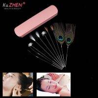 Hot sale 1Set Earwax Cleaner Kits Ear Massage Set Earwax Cleaner Kits Goose Feather Stainless Steel Earpick Wax Cleaner Tool