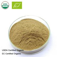 Natural Green Coffee Bean Extract Powder 20:1 - Weight Loss for Men and Women, Burns Both Fat and Sugar