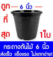 กระถางต้นไม้ กระถางพลาสติก ขนาด 6 นิ้ว 1ใบ กระถางกลม กระถางต้นไม้พลาสติก กระถางปลูกต้นไม้ กระถางดำ กระถางพลาสติกดำ Flower pot