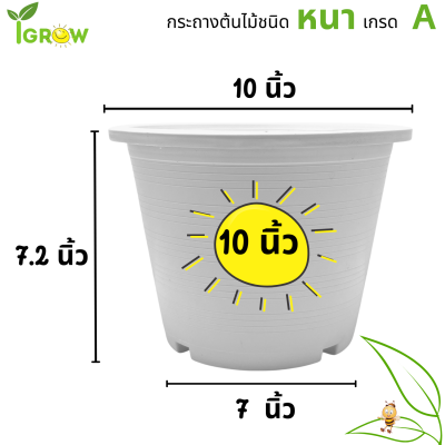 กระถางต้นไม้ 10 นิ้ว สีขาว กระถางพลาสติก กระถางบอนสี กระถางแคนตัส สีขาว 10 นิ้ว กระถางสวย คุณภาพดี