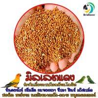 มิลเล็ตแดง Red Millet มิลเลตแดง แบ่งขาย 500-1000 กรัม อาหารเสริมสำหรับนกและแฮมสตอร์