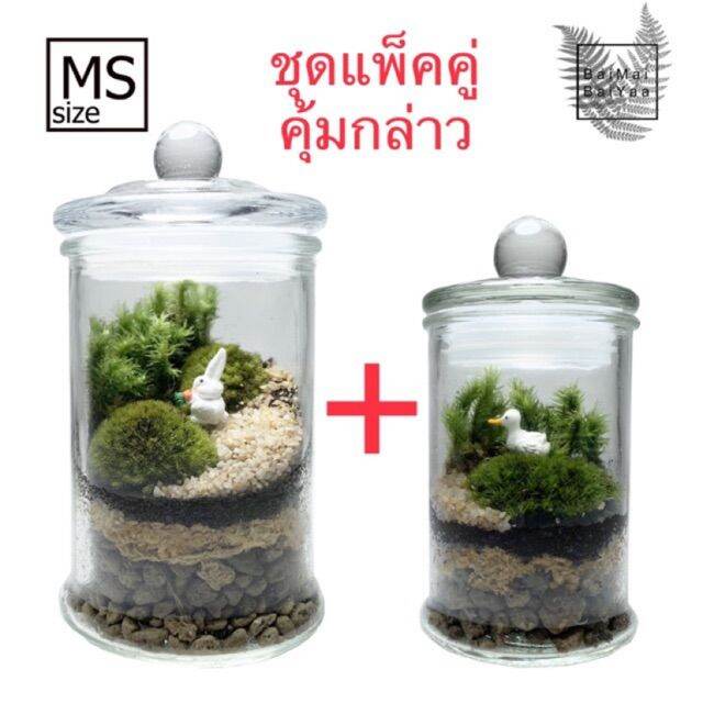 ชุดจัดสวนโหลแก้ว-diy-size-m-s