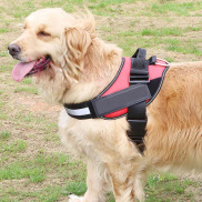 Đai lưng K9 chuyên dùng cho chó nghiệp vụ Đai yếm chó - CutePets
