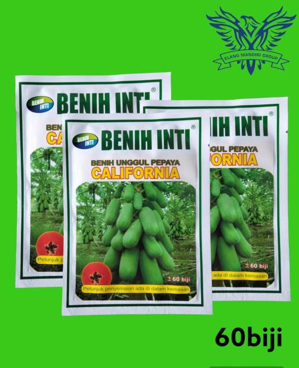 Bibit Pepaya California 60 Biji Buah Unggulan Cap Benih Inti | Lazada ...