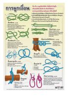 การผูกเงื่อน  EQ-120  โปสเตอร์กระดาษหุ้มพลาสติก