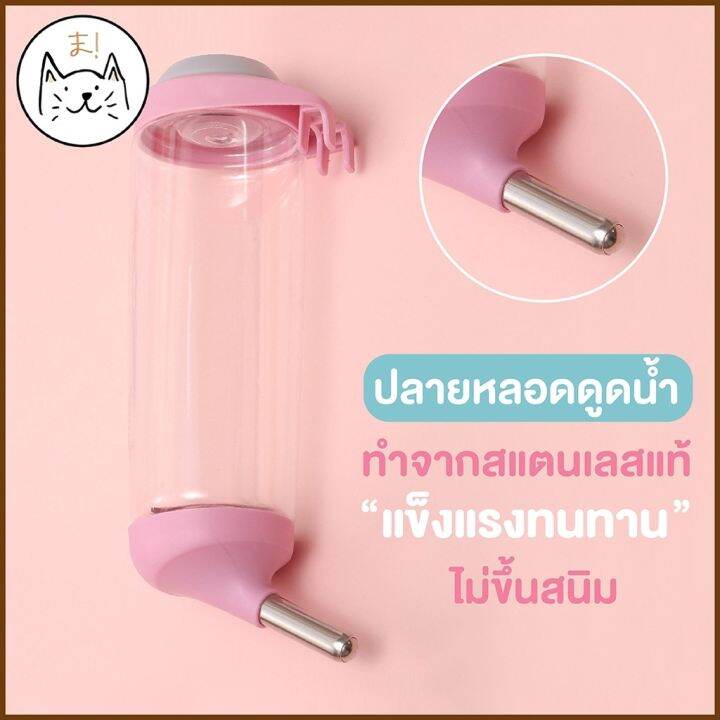 ที่ให้น้ำแบบแขวนกรง-350ml-500ml-ขวดน้ำแฮมเตอร์-ขวดน้ำกระต่าย-ขวดน้ำสุนัข-ขวดน้ำแมว-แบบติดกรง-พร้อมส่งจากไทย