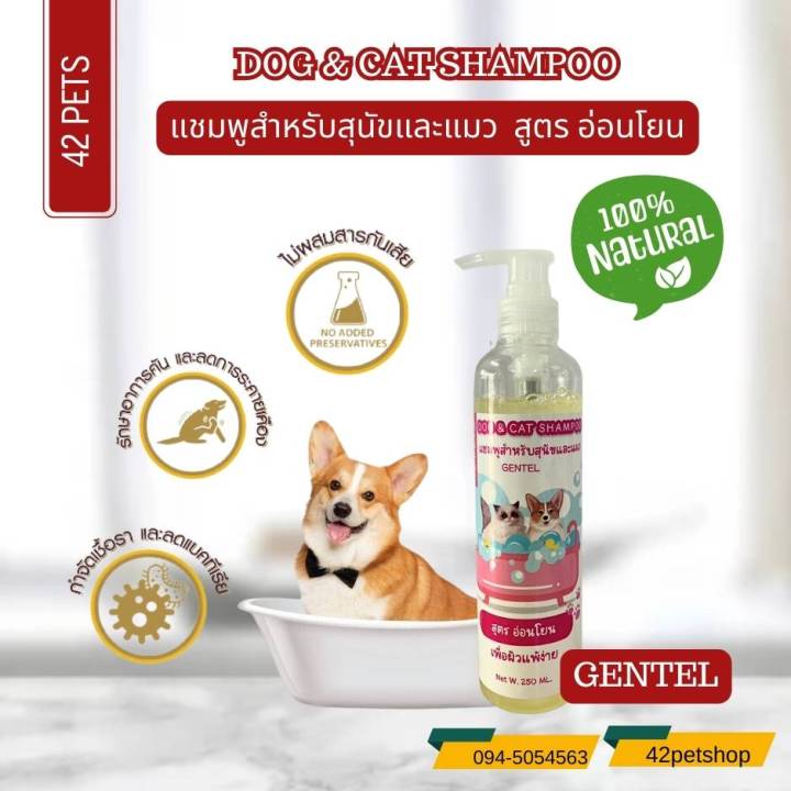 42pets-แชมพูอาบน้ำแบบเปียก-สุนัขและน้องแมว-สูตรอ่อนโยน-สูตรลดกลิ่นสาบ-สูตรกำจัดเห็บหมัด-สูตรบำรุงขน-ขนาด250ml