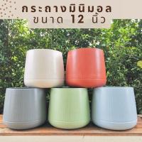 กระถางต้นไม้ กระถางพลาสติก กระถางเบลล่า มินิมอล โมลเดิร์น plant pot พาทเทล สีเทา สีขาว สีอิฐ สีฟ้า ขนาด 12 นิ้ว ราคาถูก พร้อมส่ง