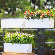 Chậu trồng hoa thông minh Oliz A207 - Chậu trồng cây tự dưỡng