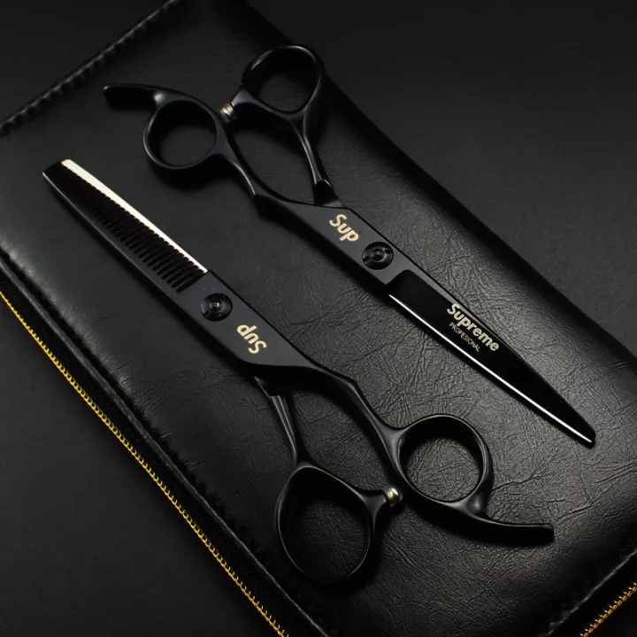 Professional Salon Hairdressing Scissor Japan 440C Black Carbon Steel 6