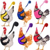 【CW】 Fashion Chicken Duck Vest Hen Belt Pet Harness Matching Collars Bow Comfortable Leads Breathable Poultry Supplies