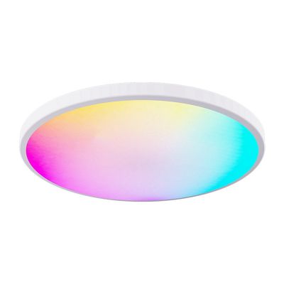 12 Inch 24W RGBCW Full Color Ceiling Light 3000K-6500K Dimming Color Matching Bluetooth Voice Ceiling Light