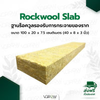 Rockwool Slap ฐานร็อควูล รองรับการกระจายของราก ขนาด 100x20x7.5 เซนติเมตร