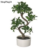 ไม้ประดิษฐ์ในกระถาง+กระถาง วางได้ทั้ในและนอกอาคาร บอนไซ 16 ซม. Artificial potted plant with pot, in/outdoor bonsai, 16 cm