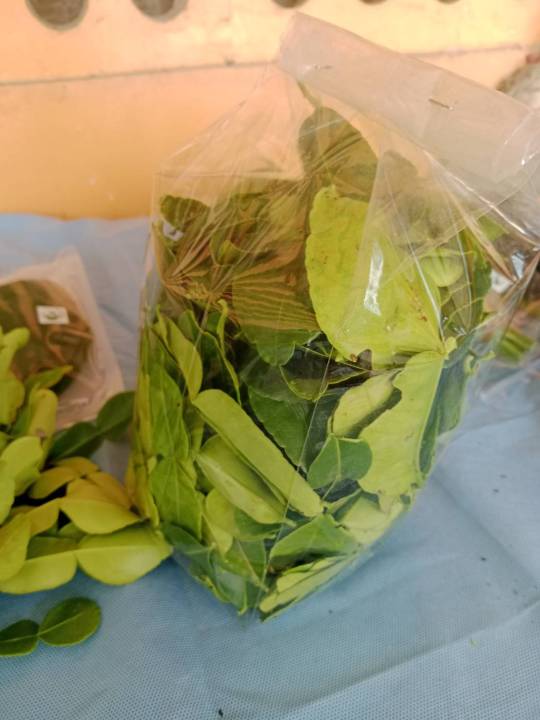 ใบมะกรูด-หนัก-1000-กรัม-ใบมะกรูดสดจากสวนออร์กานิก-ปลอดภัยไร้สารเคมี-kaffir-leaves-from-organic