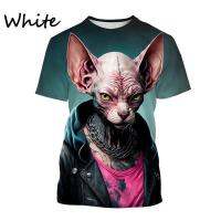 2023ใหม่ขายดี Sphynx Cat 3D Anime เสื้อยืดพิมพ์ภาพ Beerus แขนแขนสั้นคอกลมเสื้อแฟชั่นแมวไม่มีขนแคนาดา