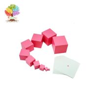 Trreeyear Pink Tower with 10Pcs Stand Cards Preschool Kids Math Teaching Professional Montessori Learning Toys Flash Cards