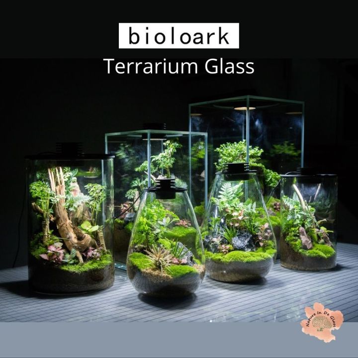 Bioloark - Luji Glass Cup - MY-120H