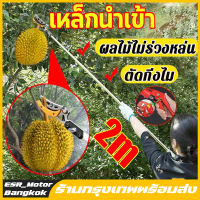 【จัดส่งในกรุงเทพฯ】วัสดุสแตนเลส กรรไกรตัดกิ่ง ตัดกิ่งไม้เร็ว ประหยัดแรงงาน อุปกรณ์ตัดแต่งกิ่งมืออาชีพ (กรรไกรตัดกิ่งด้ามยาว กรรไกรตัดกิ่งไม้ กรรไกรตัดกิ่งไม้สูง  กรรไกรแต่งกิ่ง  กรรไกรตัดกิ่งไม้ด้ามยาว กรรไกรด้ามยาว  กรรไกรตัดผลไม้ กรรไกรเก็บผลไม้）