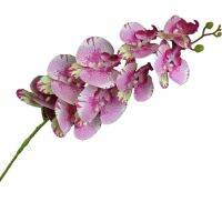 ดอกไม้ผีเสื้อกล้วยไม้สัมผัสแท้จริงดอกกล้วยไม้ Cymbidium Pu Phalaenopsis 28สีสำหรับดอกไม้ตกแต่งประดิษฐ์