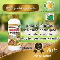 ปุ๋ยน้ำ NPK 4-24-24 เต็มสูตร +อะมิโนแอซิด เกรทพาวเวอร์ ตราช้างเก้ายอด ขนาด 500 ml